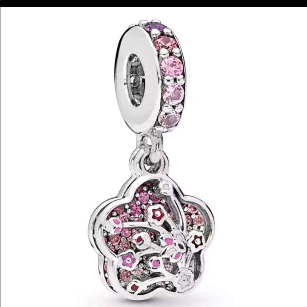 ❤️REALLY BEAUTIFUL STERLING SILVER CHARM FOR PANDORA BRACELETS❤️